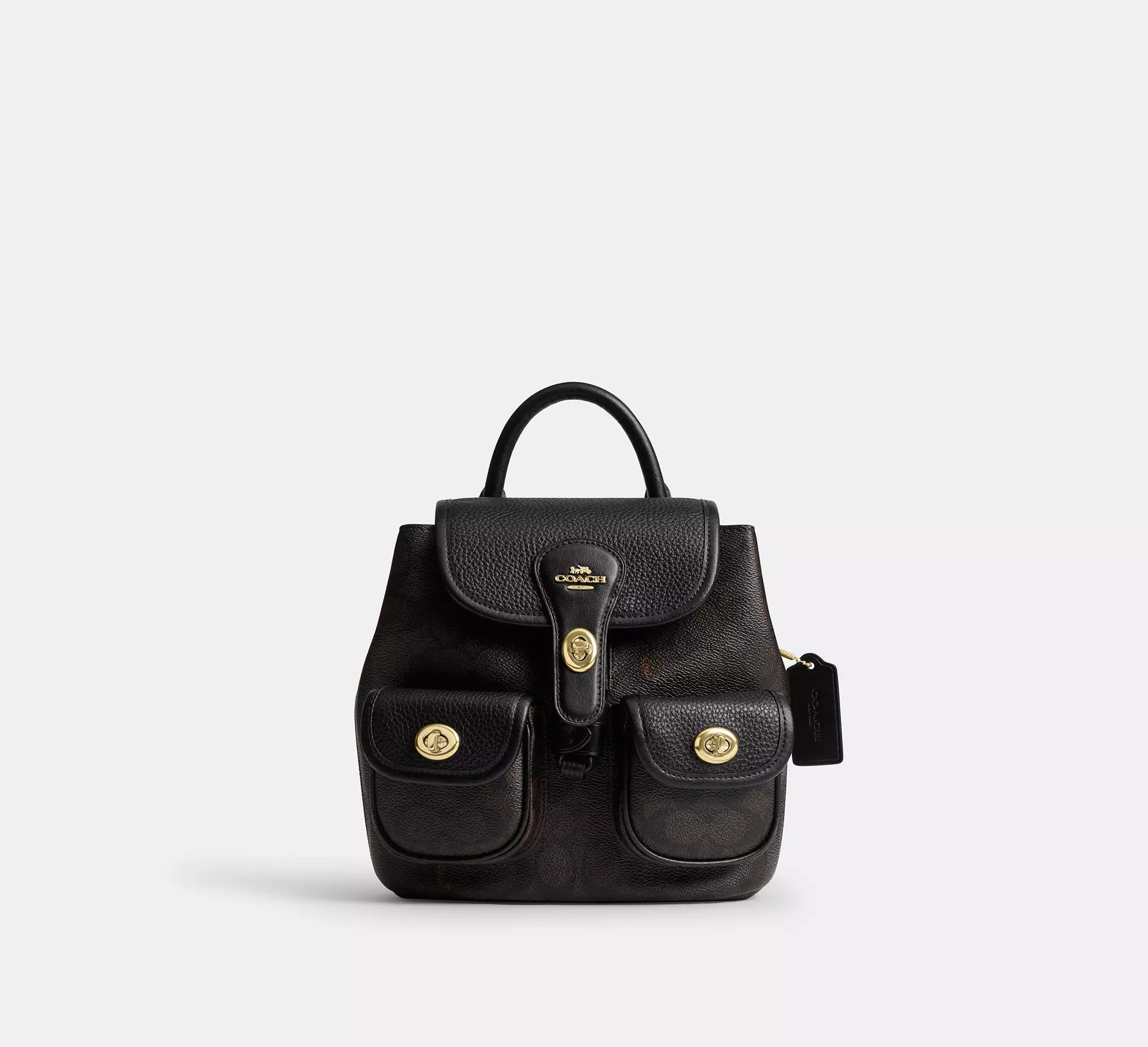 Hadley Backpack In Signature Canvas