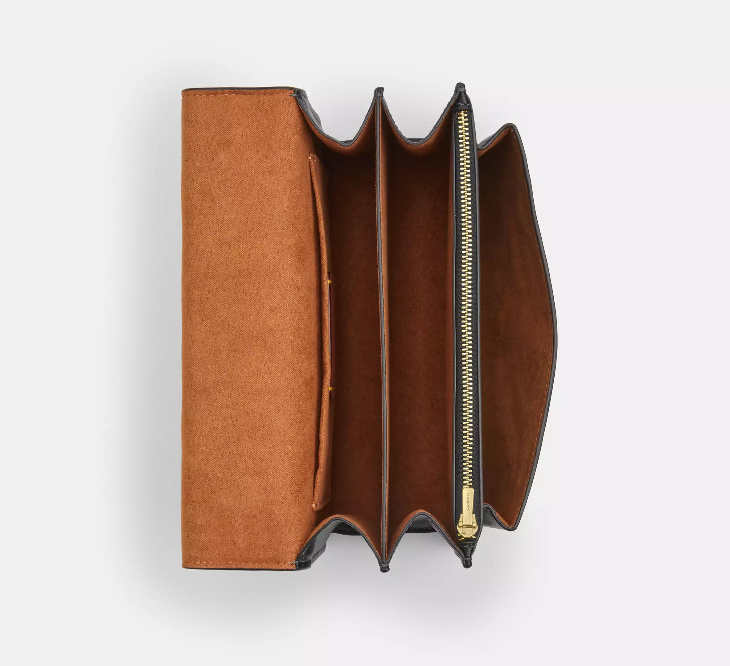 #color_CA Gold/Black