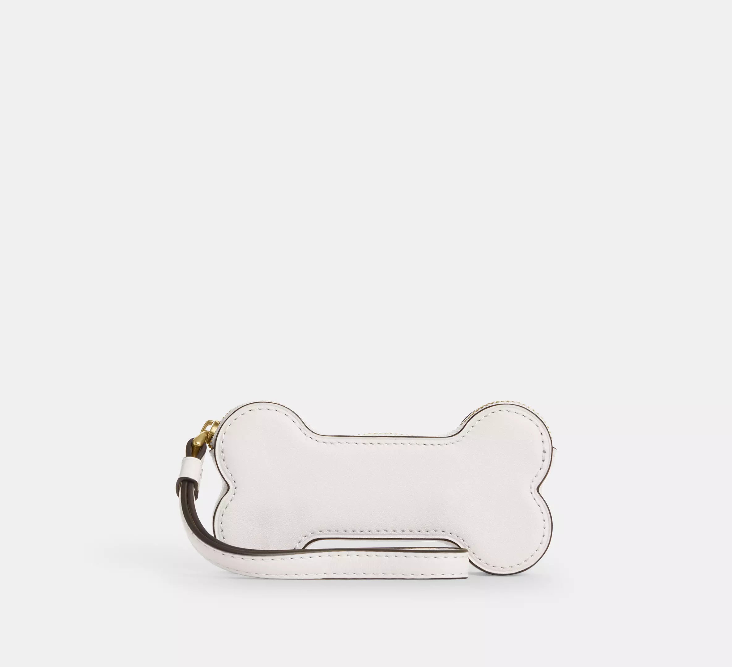Bone Coin Case