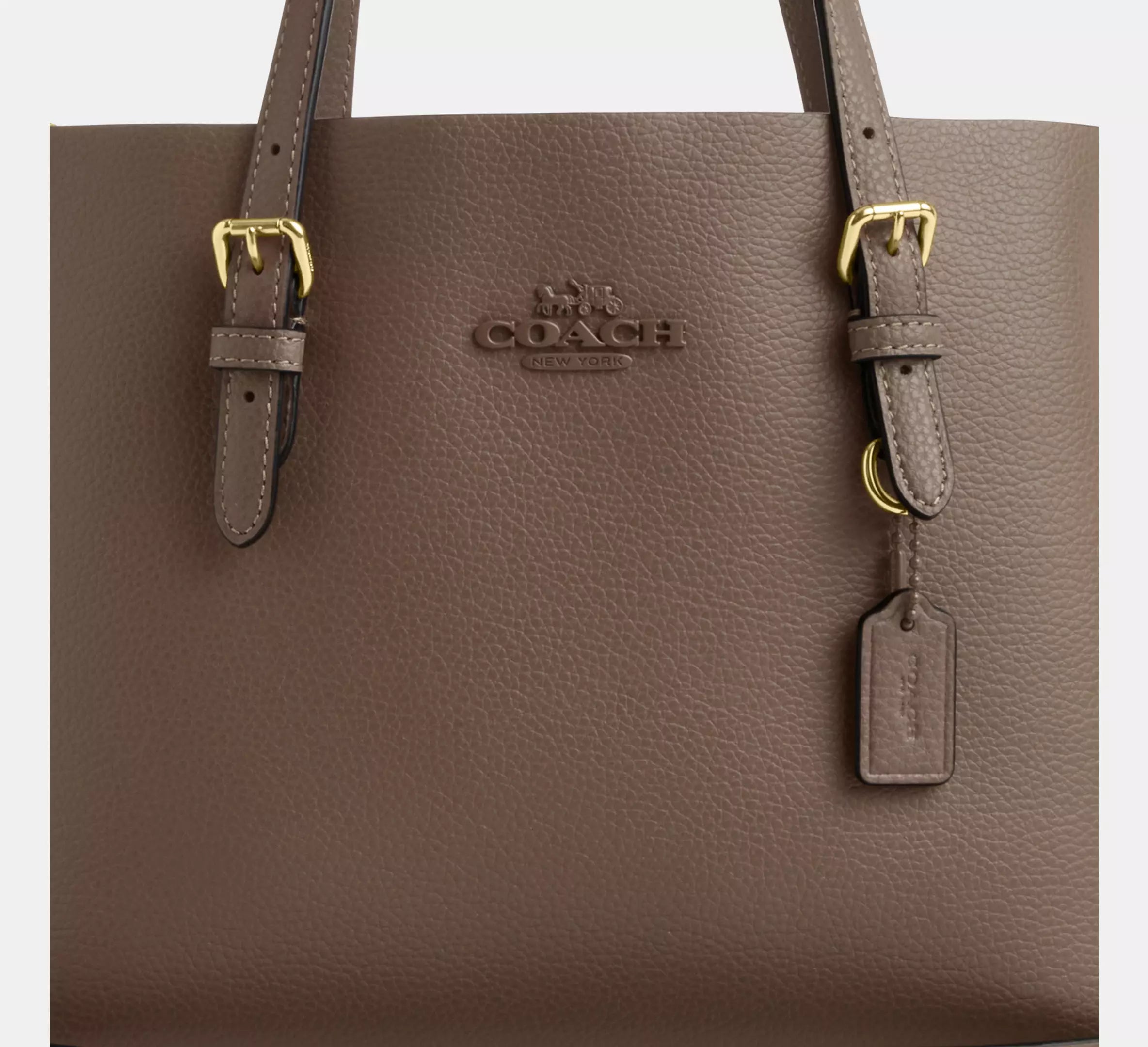 Mollie Tote Bag 25 In Signature Canvas