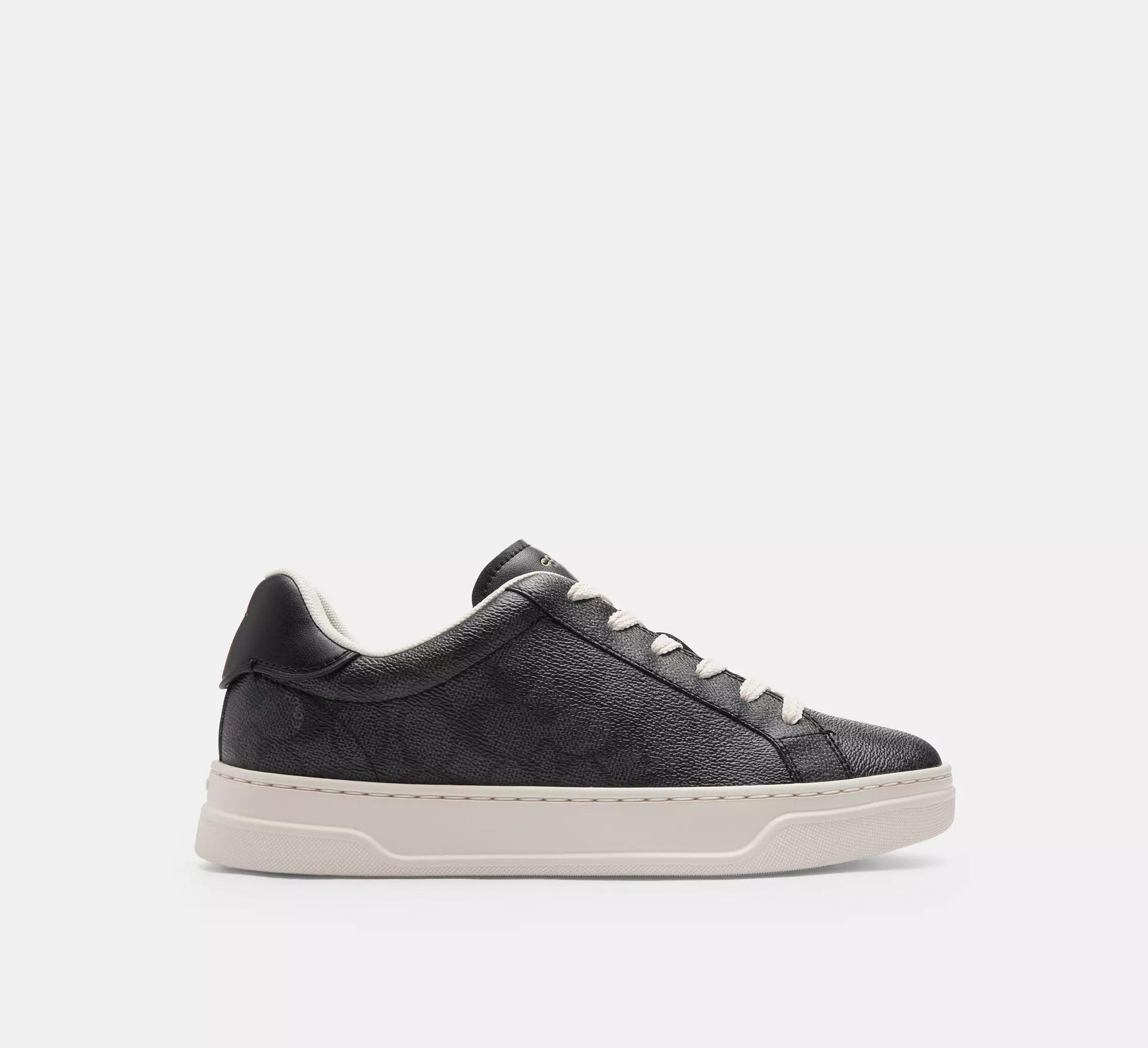 High Line Sneaker In Signature Canvas