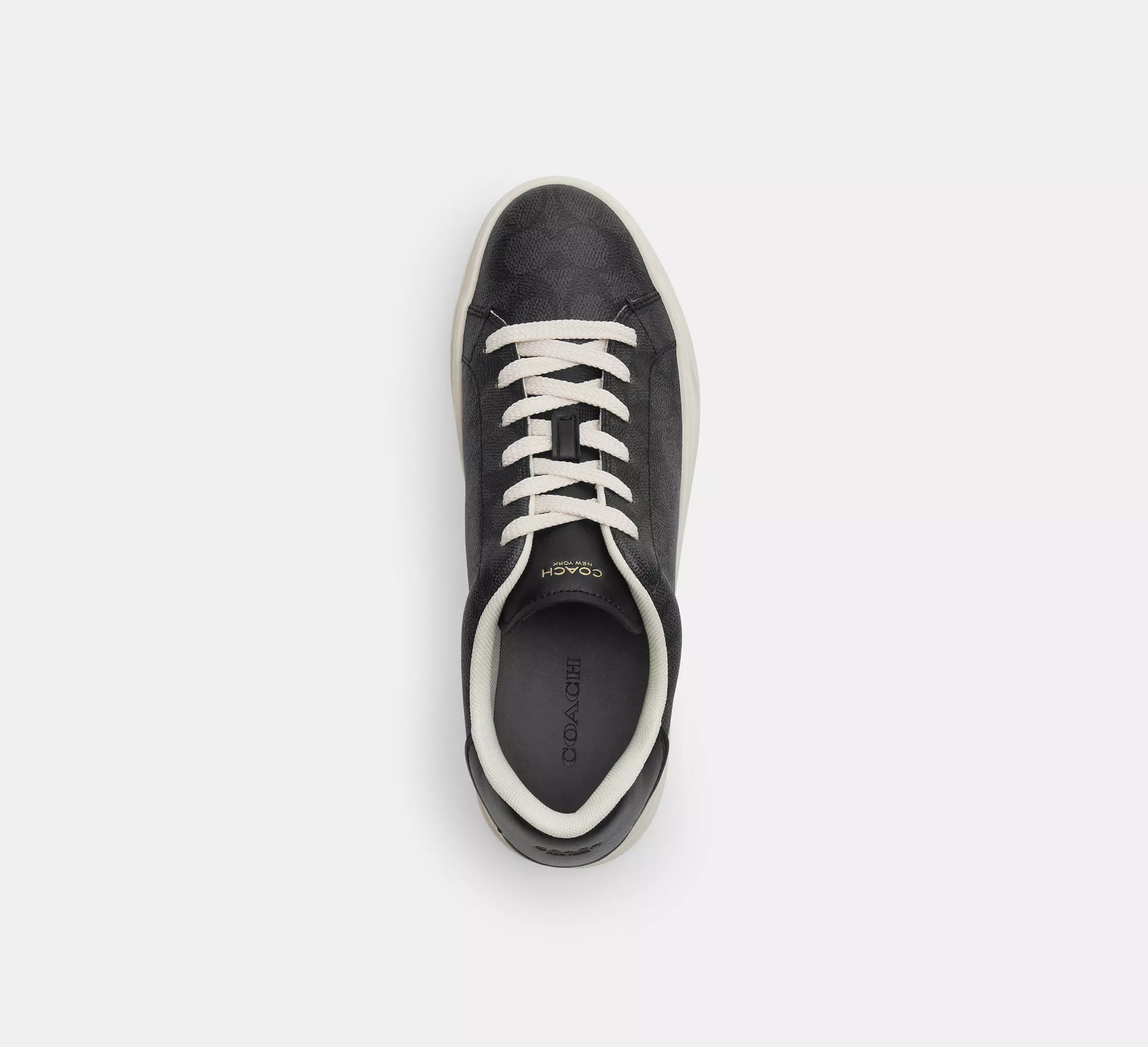 High Line Sneaker In Signature Canvas
