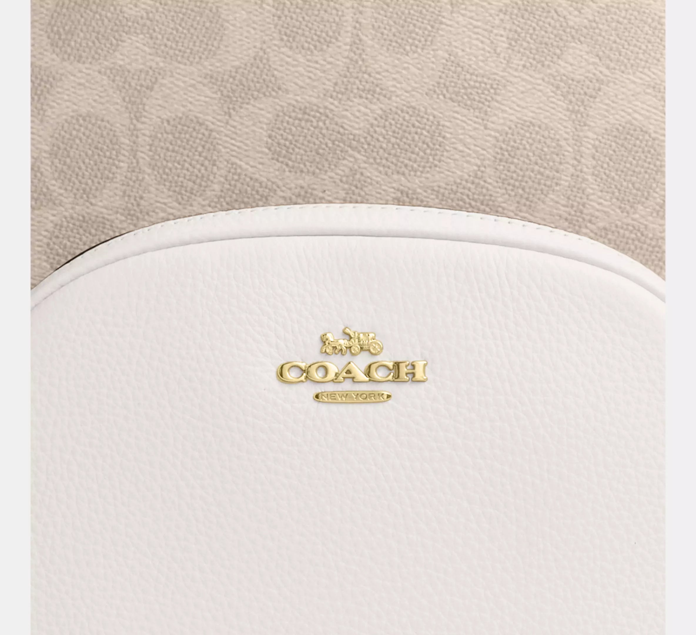 Court Backpack In Signature Canvas