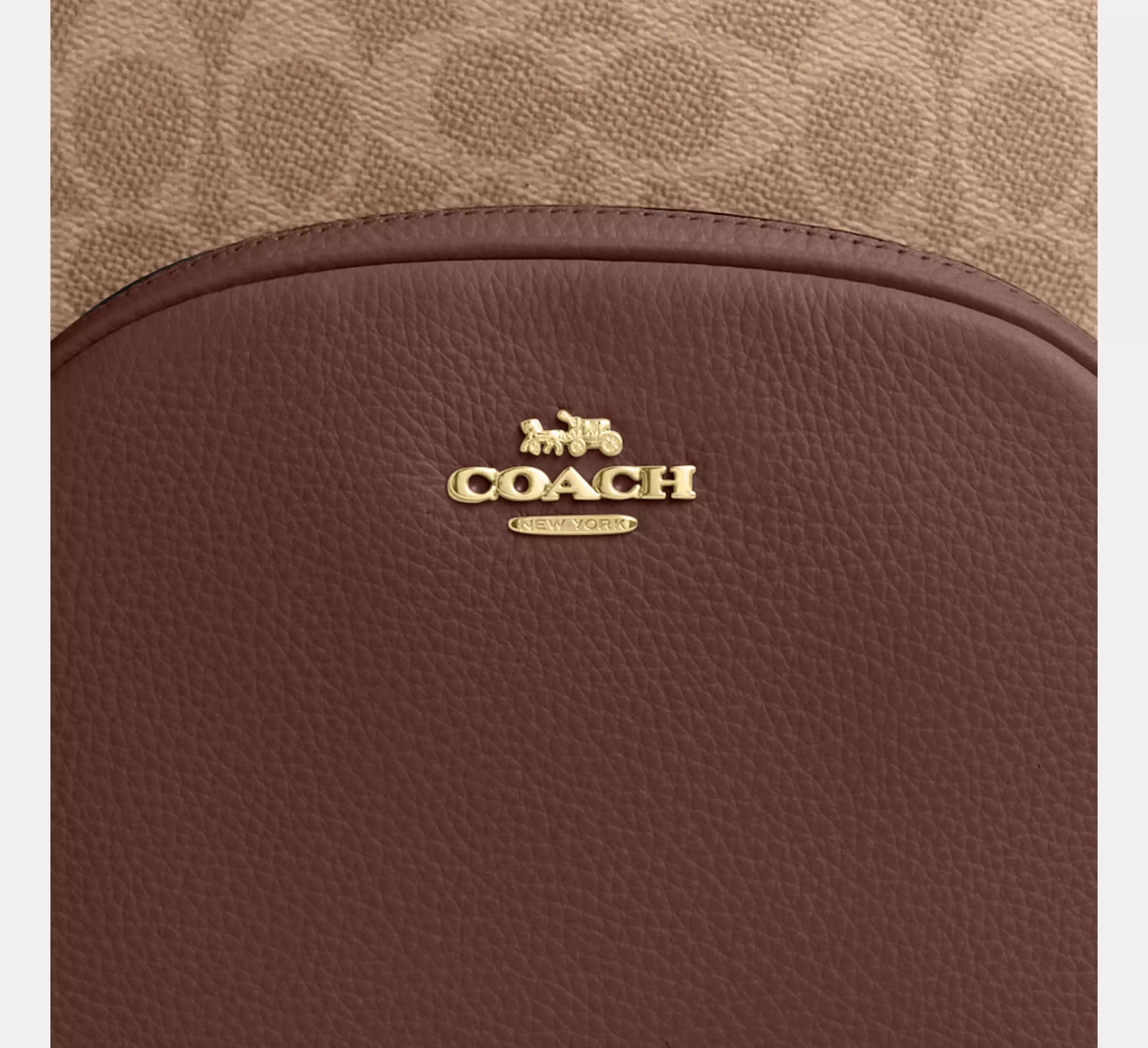 Court Backpack In Signature Canvas