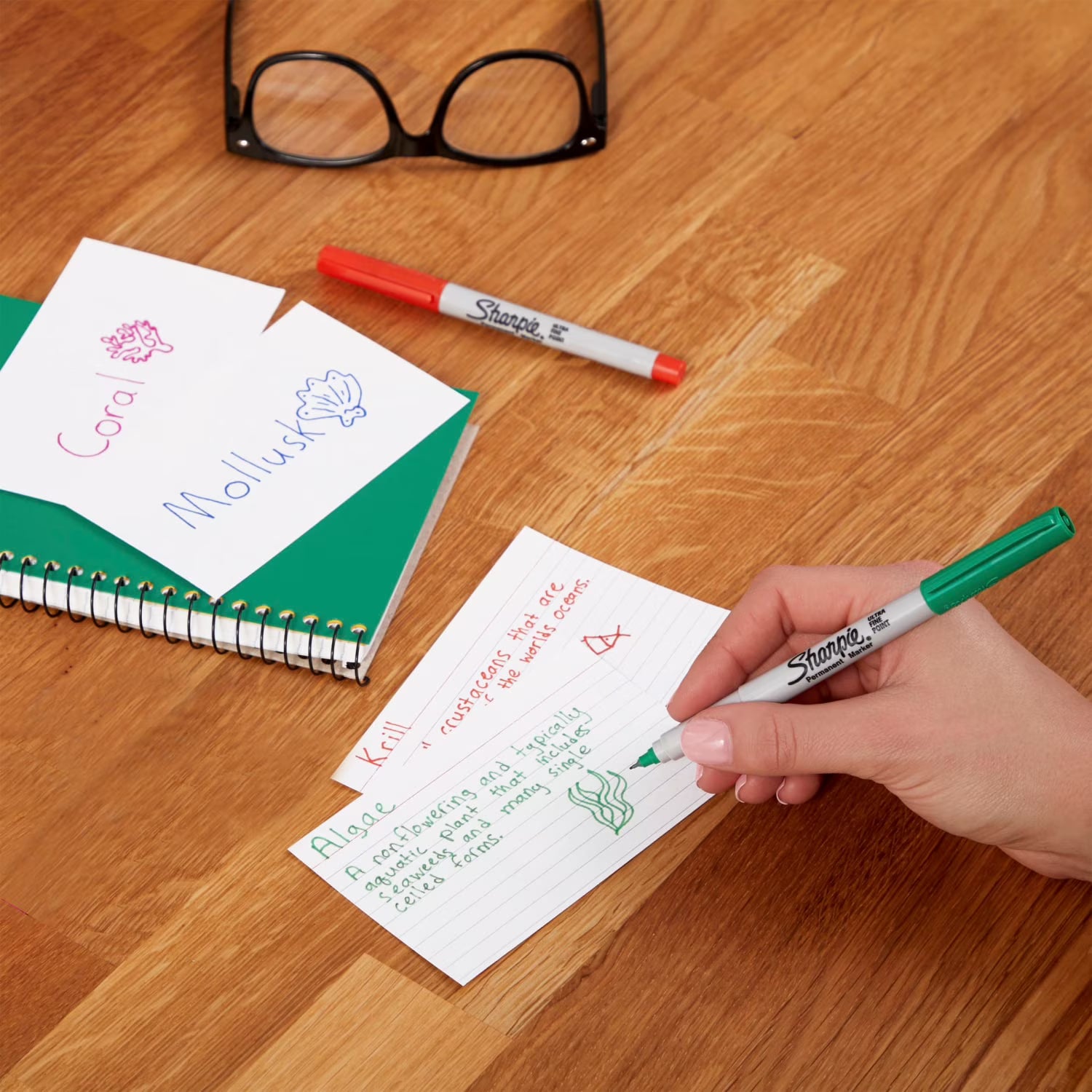 Sharpie Permanent Markers Fine and Ultra-Fine Points