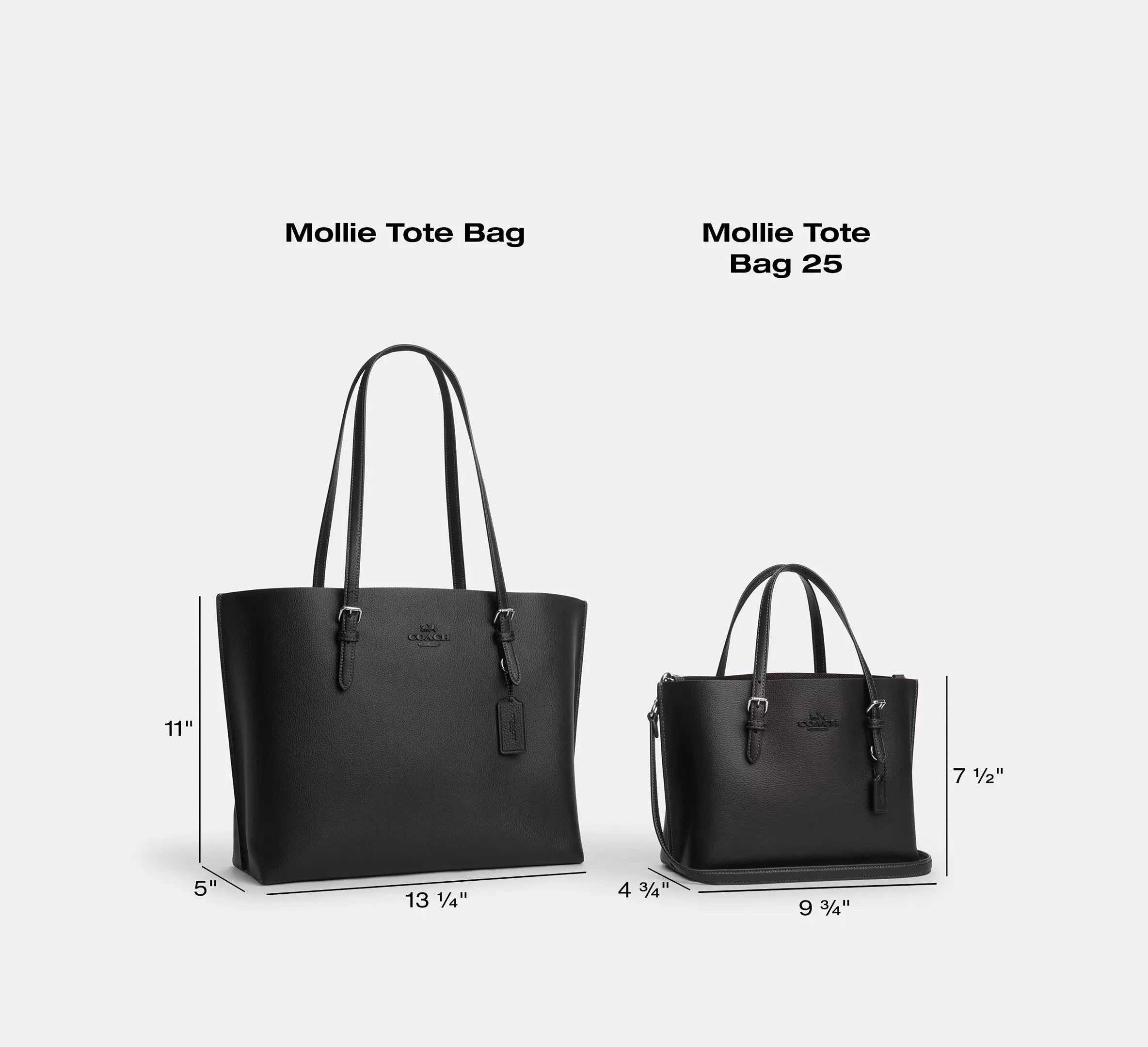 Mollie Tote Bag 25 In Signature Canvas