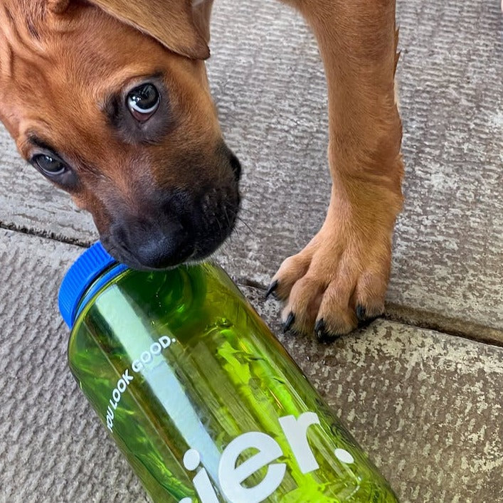 Water Bottle