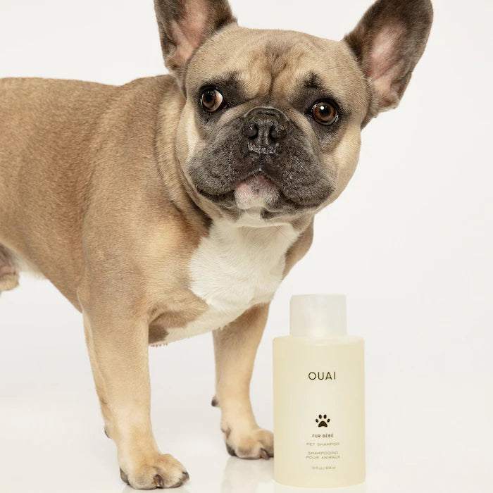 Shampoo para mascotas OUAI con pelaje suave y brillante