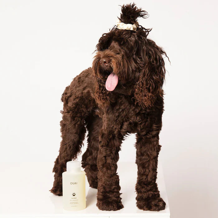 Shampoo OUAI para mascotas con aroma Mercer Street