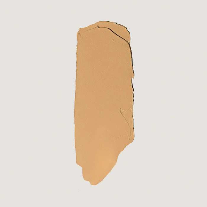 The Minimalist Perfecting Complexion Foundation and Concealer Stick