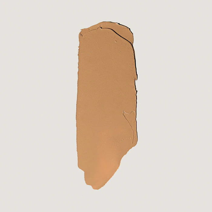 The Minimalist Perfecting Complexion Foundation and Concealer Stick