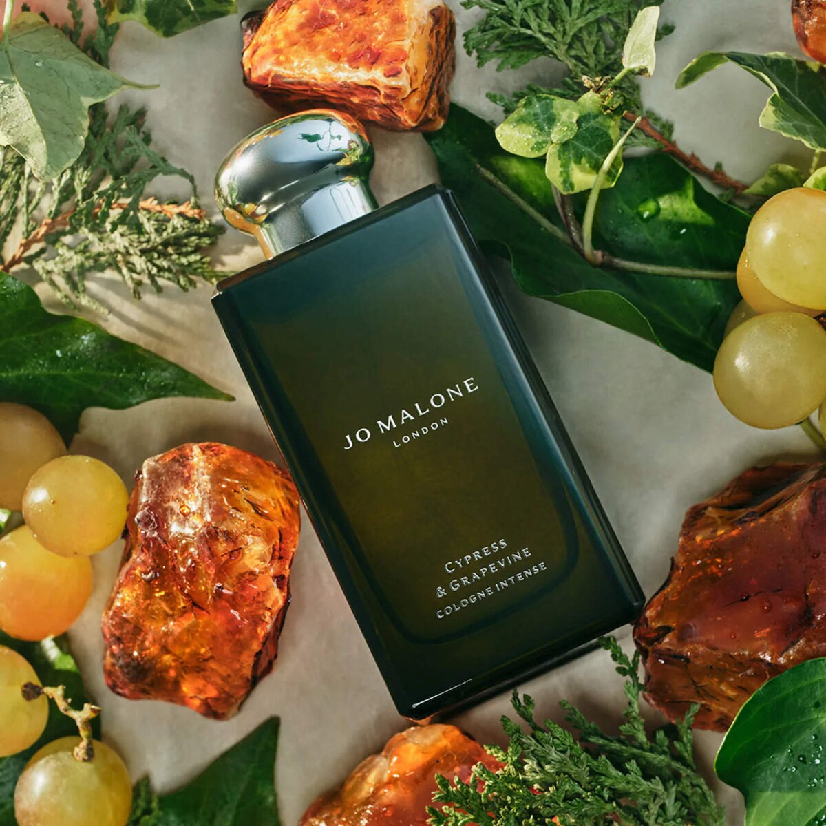 Holiday Mini Deluxe Cologne Sampler Collectors Edition - 8 fragancias + voucher - Sephora Favorites imagen 7