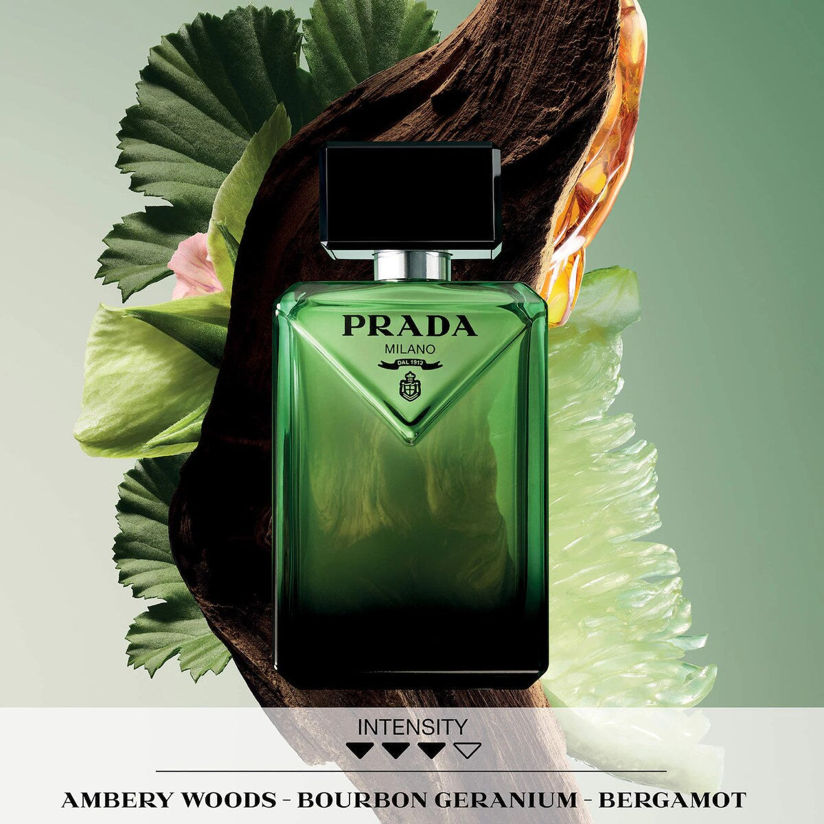 Holiday Mini Deluxe Cologne Sampler Collectors Edition - 8 fragancias + voucher - Sephora Favorites imagen 9