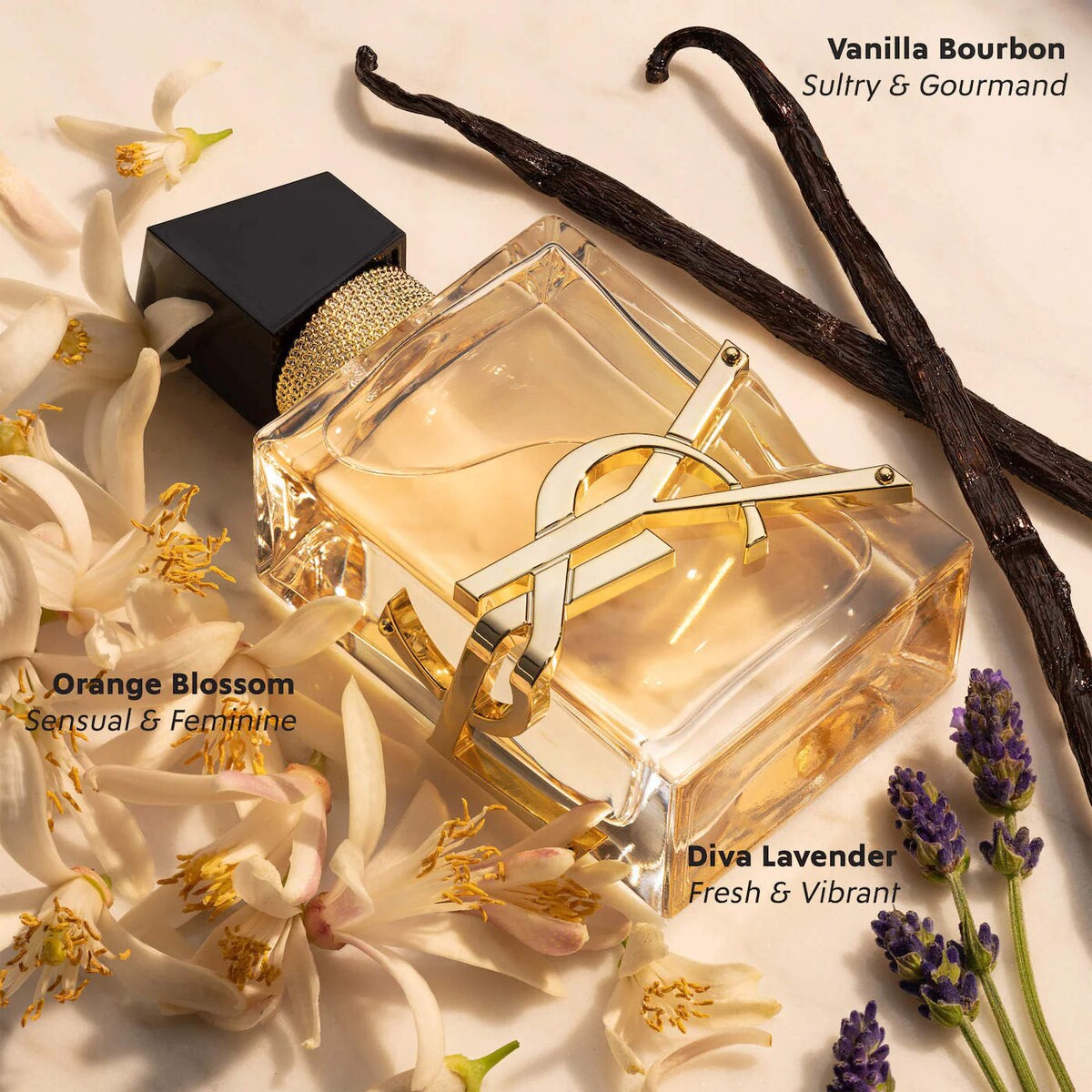 Holiday Women's Perfume Sampler Gift Set - 20 fragancias + voucher - Sephora Favorites imagen 21